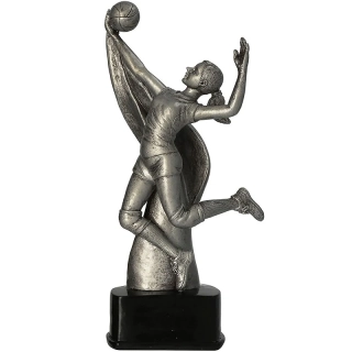 Volejbal - Víťazná trofej na podstavci s vlastným textom: 24cm